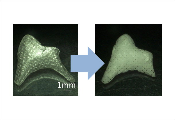 (Figure 2)Polymer mold → Bioceramics scaffold