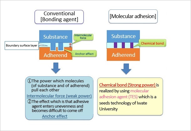 (Figure 2)